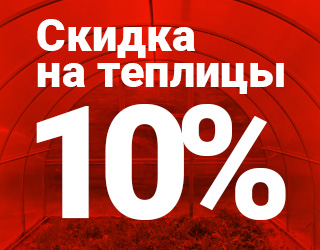  10%  